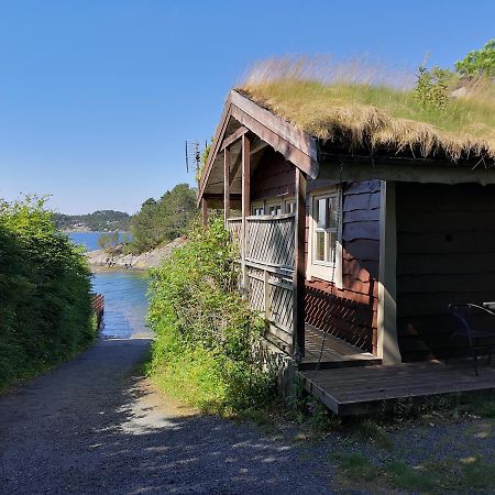 Fanafjorden Cabins Bergen Eksteriør bilde